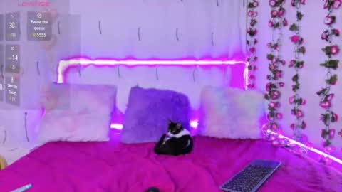 cloe_sweet18 online show from August 11, 12:12 am