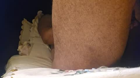 cockdoc4444 online show from August 15, 6:28 am