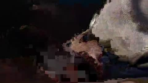 cockreadynow4u online show from April 9, 6:21 am