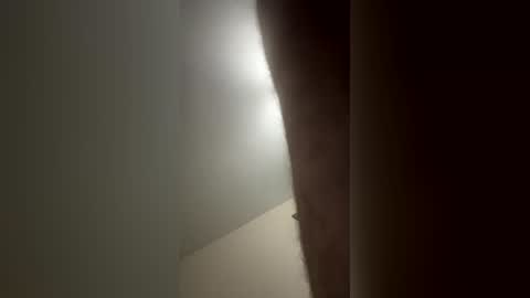 cockshow970000 online show from August 3, 2:29 am