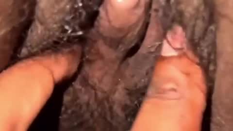 Coconuttie69 online show from April 12, 1:34 pm