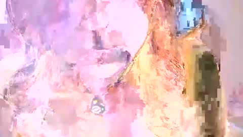 Carolina online show from August 13, 8:56 pm