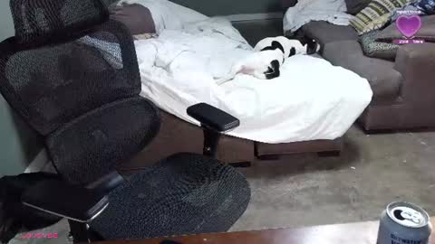 controllercutie online show from August 8, 2:55 am