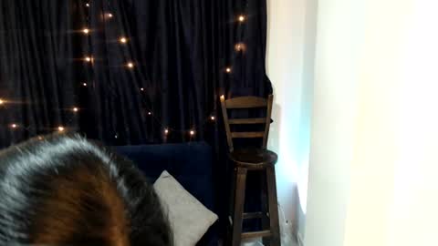 Sofi online show from August 5, 3:26 am