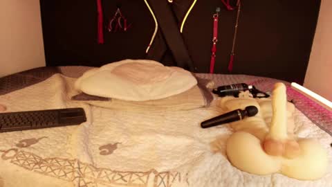 cookie_bit_ online show from May 9, 1:41 am