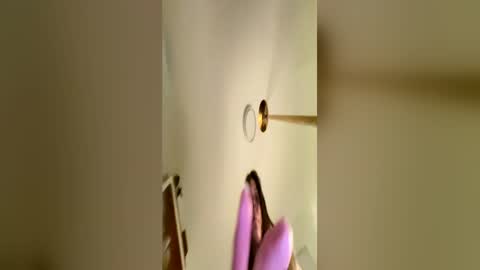 corky_violets online show from June 16, 8:13 am