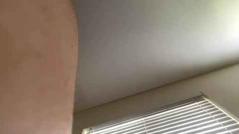 corky_violets online show from June 23, 6:53 pm