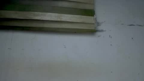 cornxcunt online show from August 6, 2:32 am