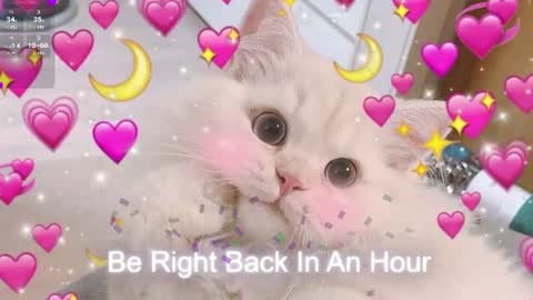 Sonya online show from August 1, 12:49 am