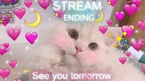 Sonya online show from August 4, 4:42 am
