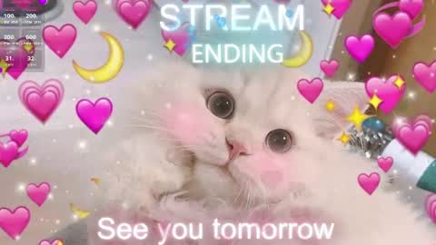 Sonya online show from August 6, 4:44 am