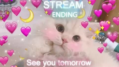 Sonya online show from August 15, 4:49 am