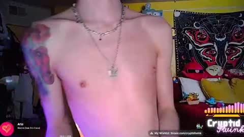 CryptidTwink online show from June 29, 5:33 am