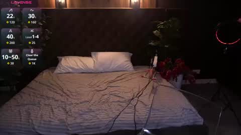 crystallpaws_ online show from August 11, 10:39 am