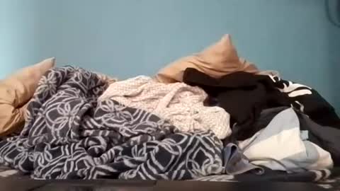 cumbian_chero online show from August 11, 2:19 pm