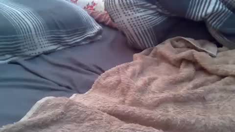 cummbumm69 online show from June 24, 4:31 pm