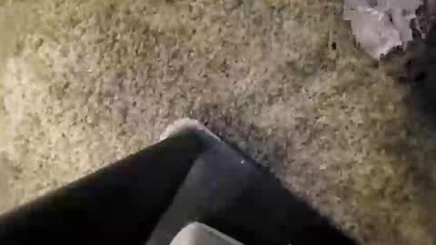 curiousguyhere6 online show from May 28, 12:46 am
