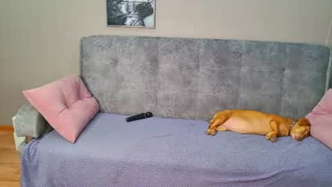 Sammy online show from August 5, 1:14 am