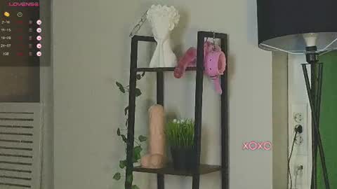Amyy online show from August 5, 6:33 am