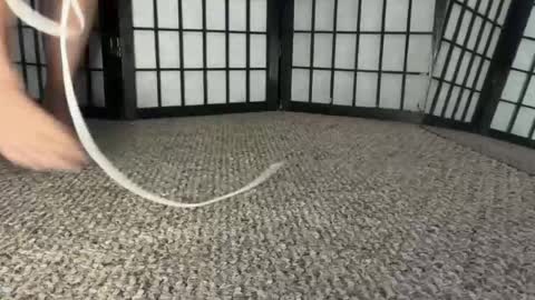 cutetinycat online show from August 7, 1:27 am
