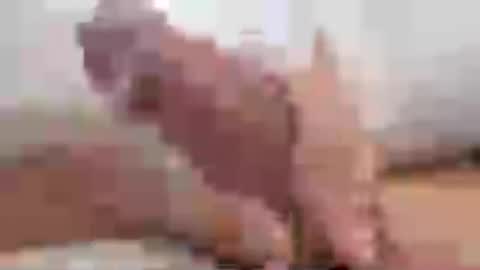 daddy4you1x online show from June 15, 3:21 pm
