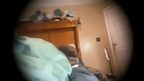 daddyjanimal online show from August 9, 4:13 am