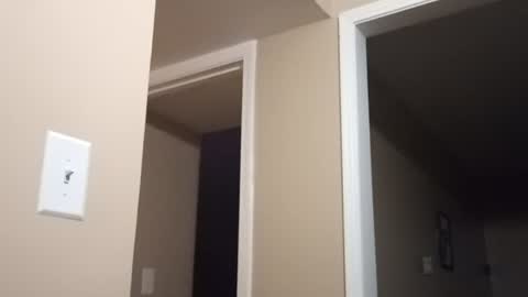 DadeesQTPie online show from August 14, 2:37 am