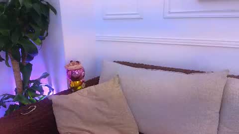 Daisy Price online show from August 3, 11:50 am