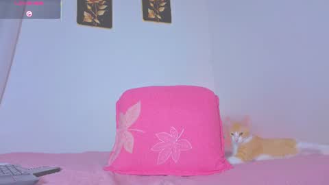 Daisy online show from August 12, 1:02 pm