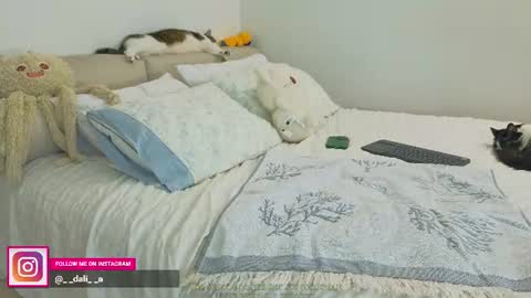 Dalia online show from August 12, 1:08 am