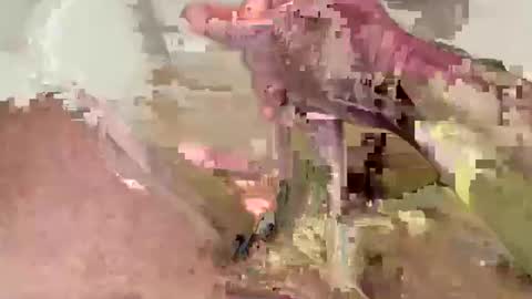 dalton3256 online show from September 10, 9:03 pm