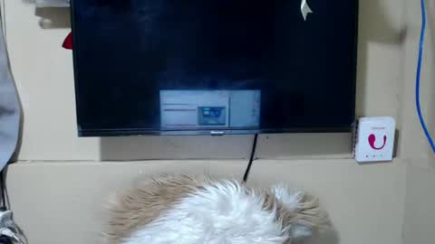 Danica online show from June 26, 3:32 am