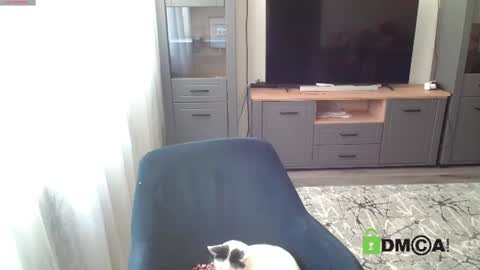 JessicaWhite online show from July 27, 9:59 am