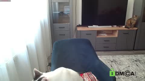 JessicaWhite online show from August 1, 9:59 am