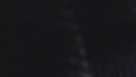 Darkan online show from August 16, 11:58 am