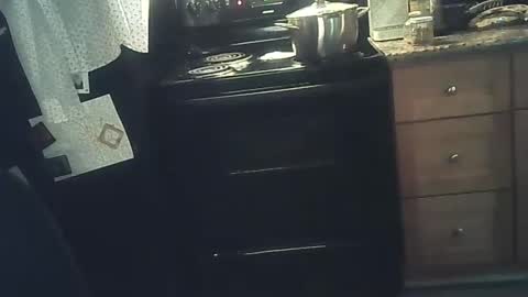 DarkAngel online show from August 5, 3:26 am