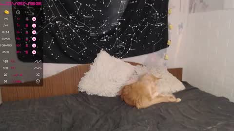 darling_tony18 online show from August 11, 1:24 pm