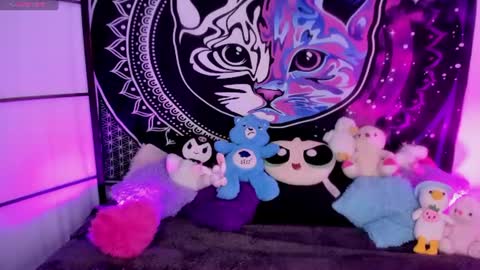 daryimiau online show from July 13, 4:30 am