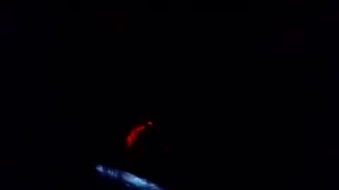 dashed_shinigami online show from June 10, 6:31 am