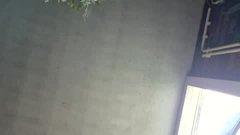 davoszz online show from July 26, 10:31 am