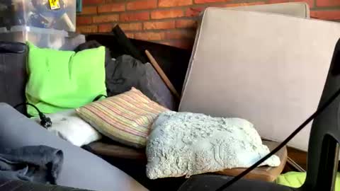 davoszz online show from July 28, 9:04 am