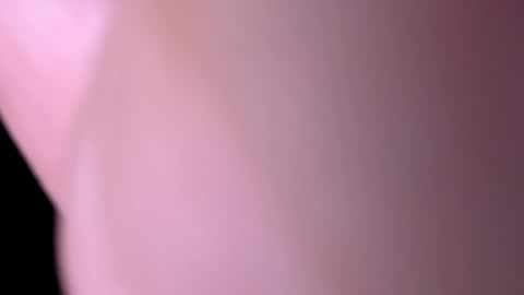 dboogey86 online show from July 15, 7:31 am