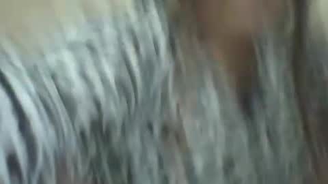 ddboobsnipples online show from August 1, 7:58 am