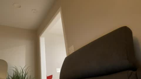 ddd3028 online show from August 14, 6:39 am