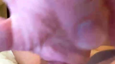 ddt7777777 online show from July 6, 12:03 am
