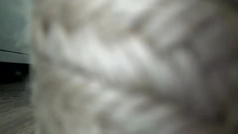 decentd208 online show from April 11, 3:17 am