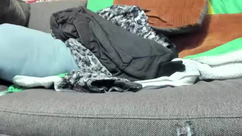 deeznutz343 online show from August 3, 12:17 am