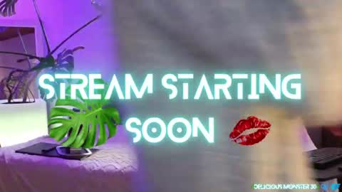Kitty online show from August 4, 6:21 am