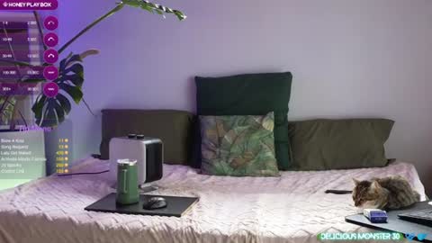 Kitty online show from August 4, 8:33 am