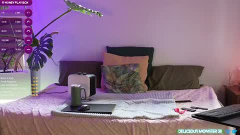 Kitty online show from August 6, 6:56 am